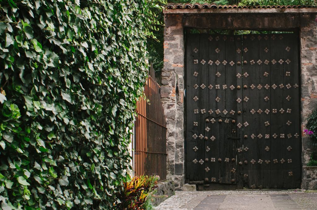 מקסיקו סיטי Villas Sol Y Luna Coyoacan מראה חיצוני תמונה