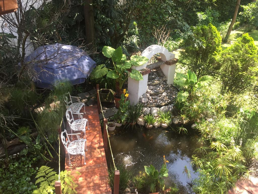 מקסיקו סיטי Villas Sol Y Luna Coyoacan מראה חיצוני תמונה